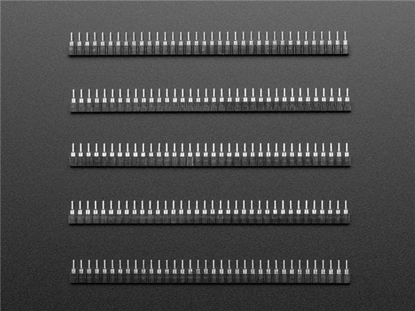 3646