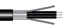 V16316 BK199