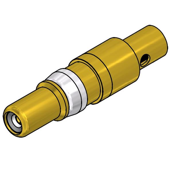 131J20029X