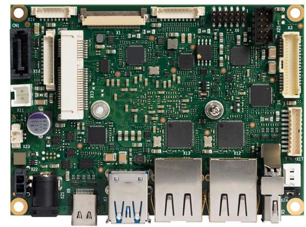 conga-PA5/HSP-B