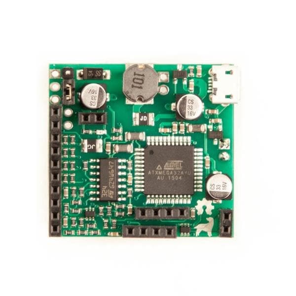 CS-LABRADOR-01
