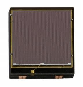 5000081
