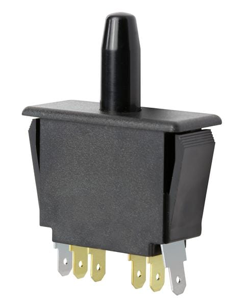 2DM1