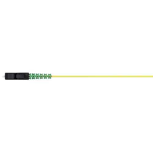 PT01_LCAS_0000_SM09E_02.0_S0