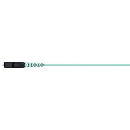 PT01_LCMS_0000_O309E_02.0_M0