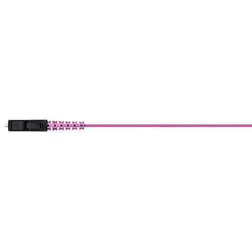 PT01_LCMS_0000_O409E_02.0_L0