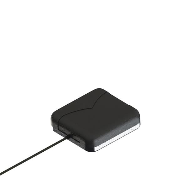 M1559CWT