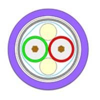 155421-1004 (5 Meters)