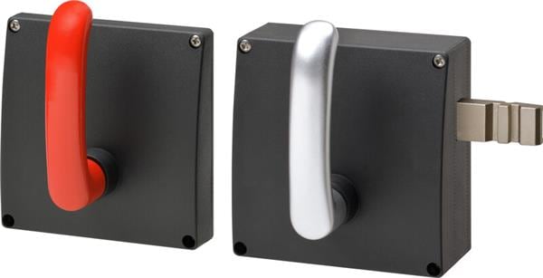 D41G-A2L-E1
