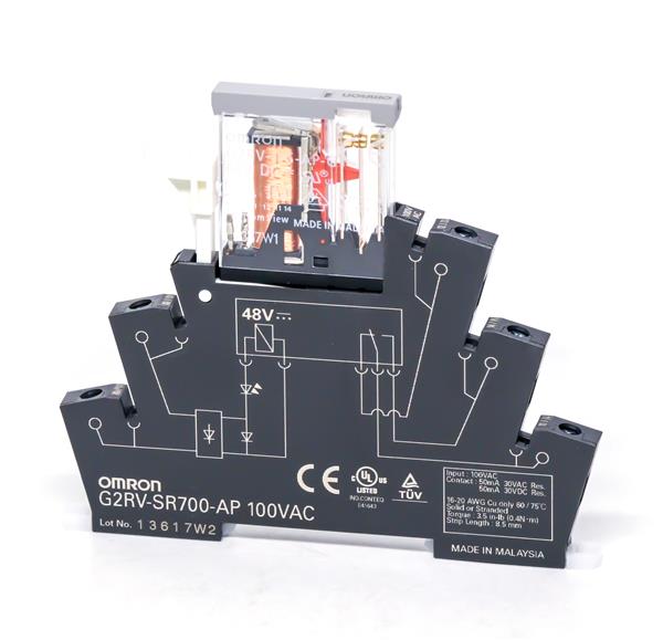G2RV-SR700-AP AC100
