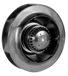 OAB22569221WB