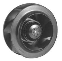 OAB22585221WB