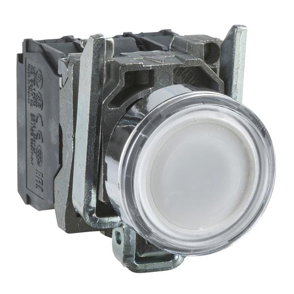 XB4BW31B5