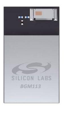 BGM113A256V21