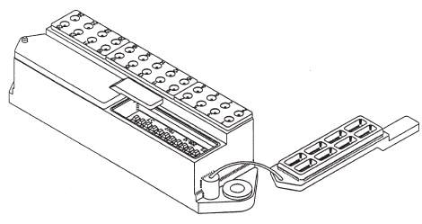 RBDSC-1