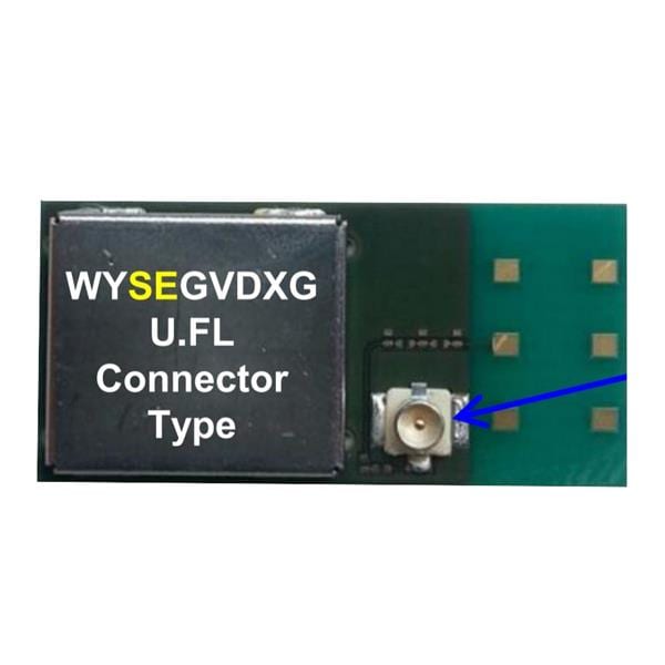 WYSEGVDXG