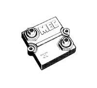 BDS2A100220RK