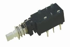 PT-S4PL